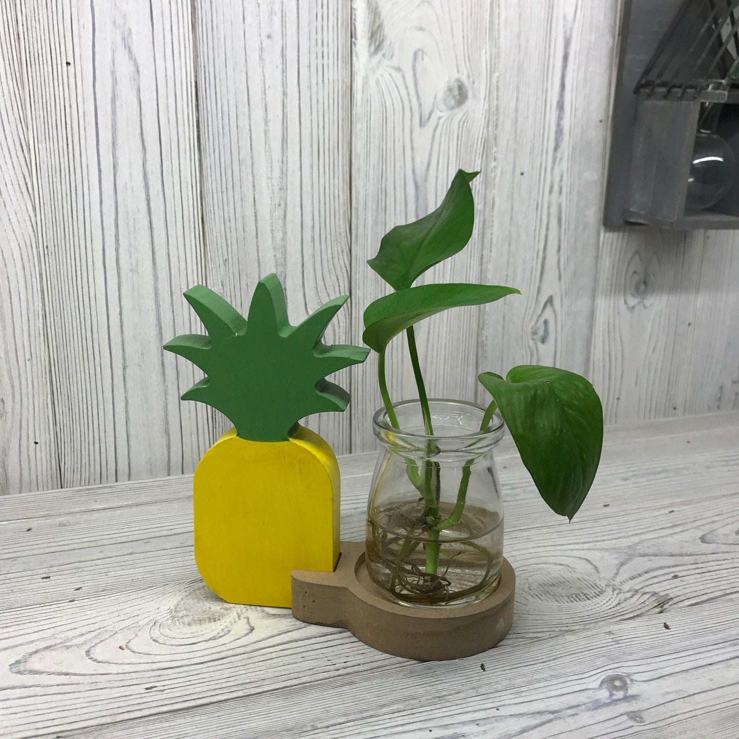 Hydroponic Home Décor - Pineapple Pot - Image hydroponic-home-dcor--pineapple-pot-hhd-11