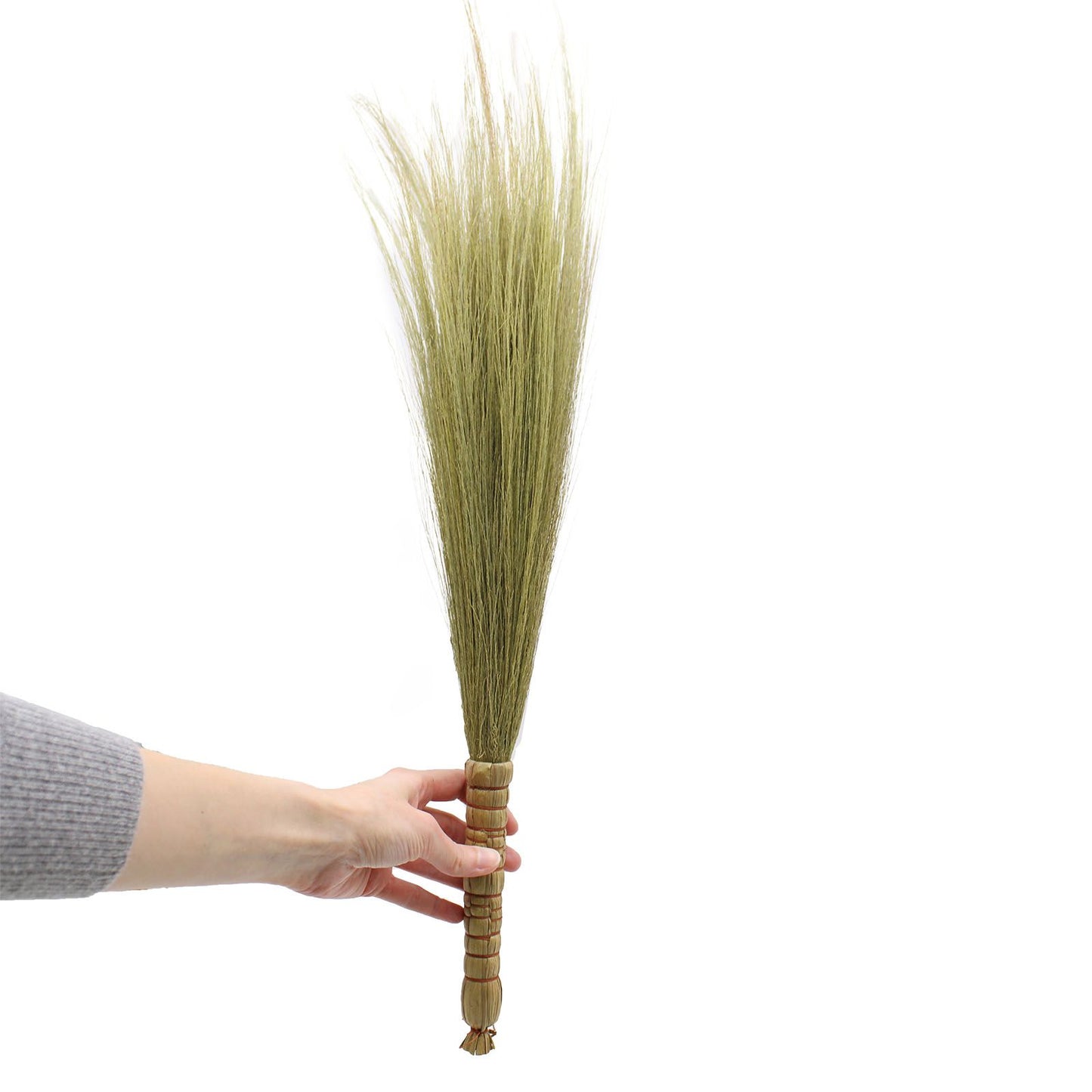 Set 4 - Pampas Broom - Natural - Image set-4--pampas-broom--natural-npb-03