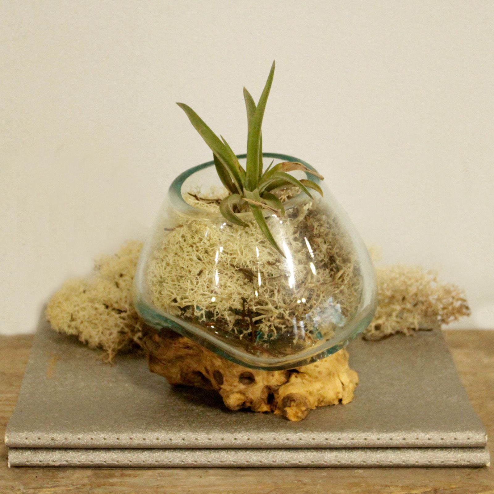 Molten Glass on Wood - Small Bowl - Image molten-glass-on-wood--small-bowl-mgw-01