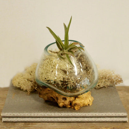 Molten Glass on Wood - Small Bowl - Image molten-glass-on-wood--small-bowl-mgw-01
