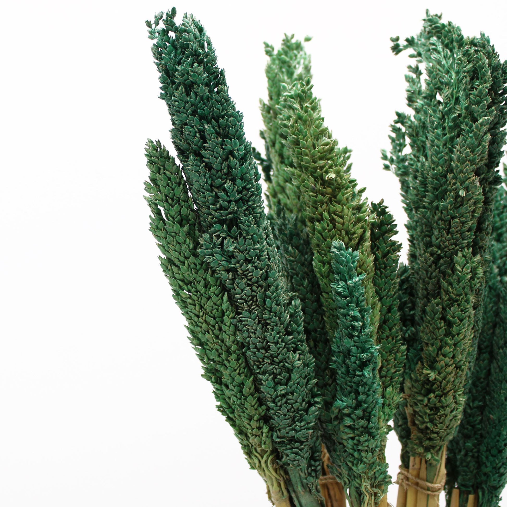 Cantal Grass Bunch - Teal - Image cantal-grass-bunch--teal-cgb-08