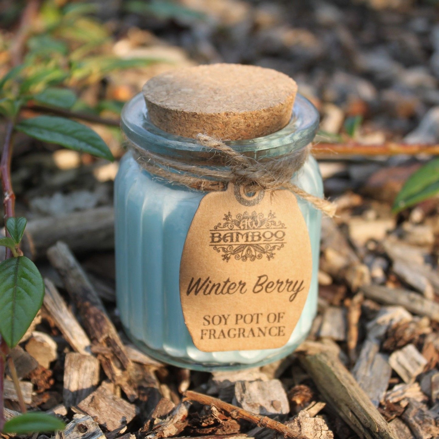 Winter Berry Soy Pot of Fragrance Candles - Image winter-berry-soy-pot-of-fragrance-candles-soyp-05