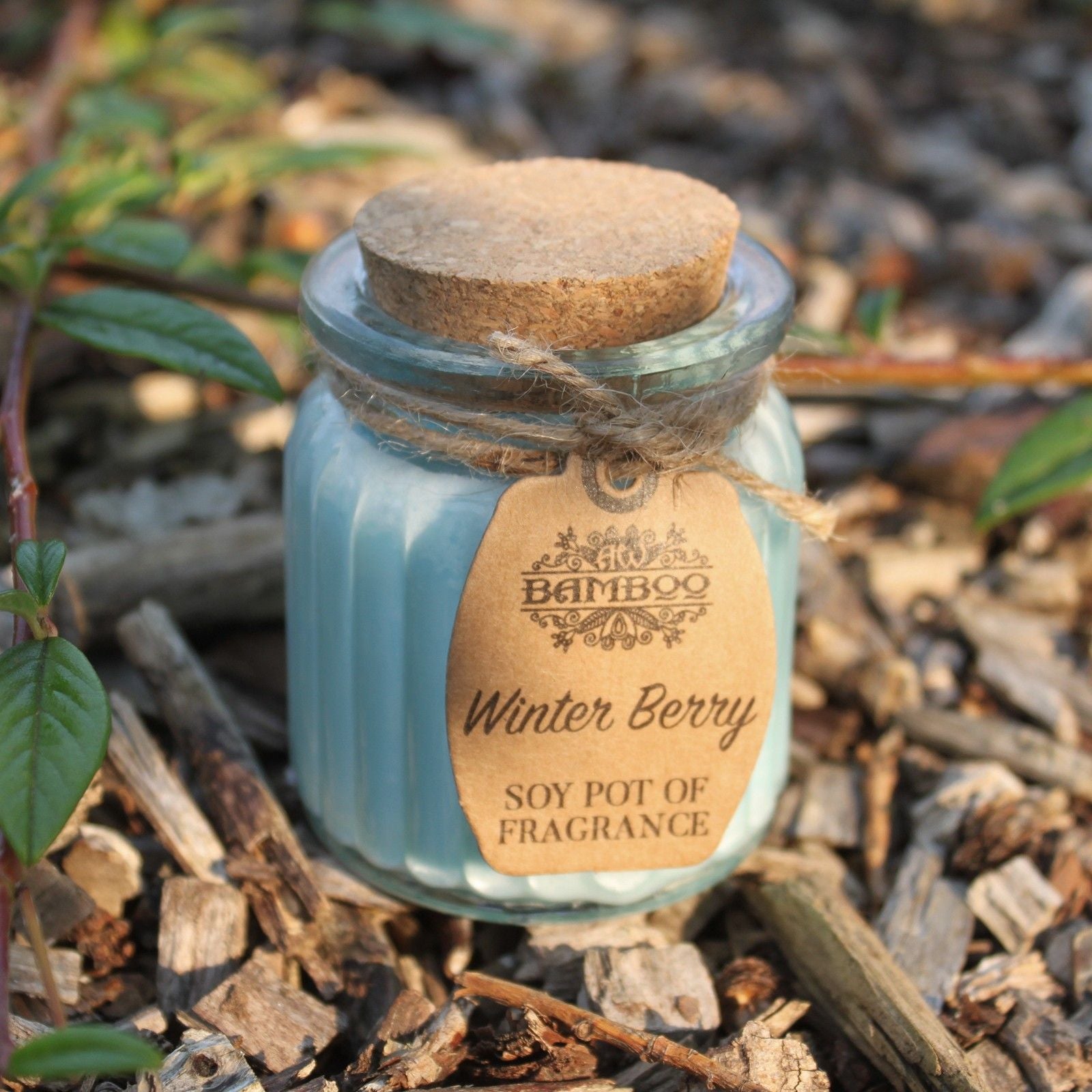 Winter Berry Soy Pot of Fragrance Candles - Image winter-berry-soy-pot-of-fragrance-candles-soyp-05