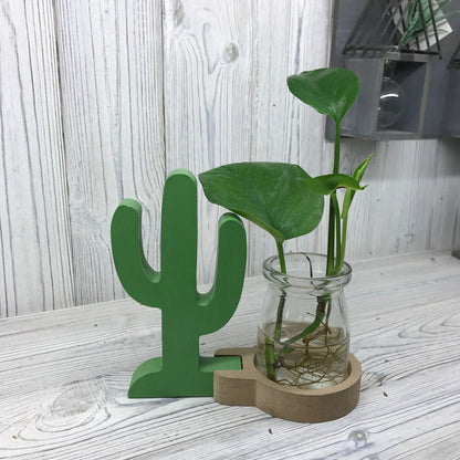 Hydroponic Home Décor - Cactus Pot - Image hydroponic-home-dcor--cactus-pot-hhd-12