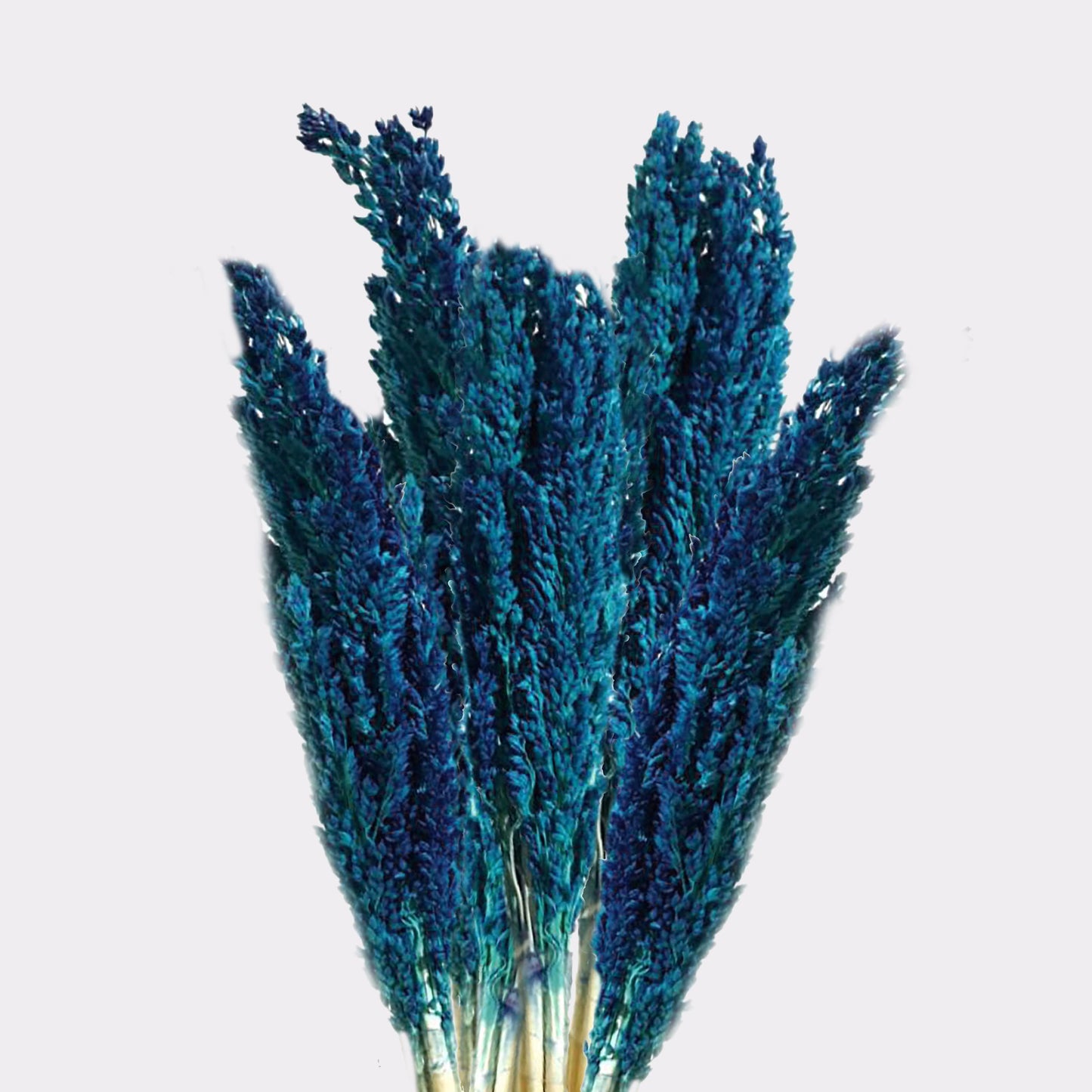 Cantal Grass Bunch - Blue - Image cantal-grass-bunch--blue-cgb-09