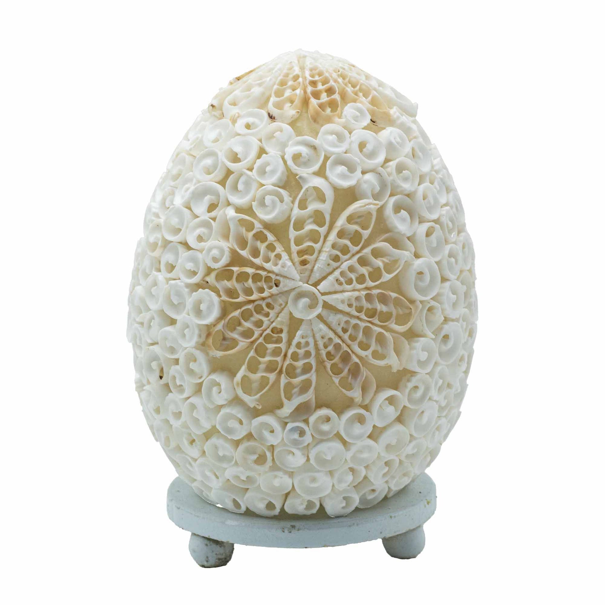 Boho Sea Shell Lamp - Cut Art Shell Oval - 15cm - Image boho-sea-shell-lamp--cut-art-shell-oval--15cm-bbsl-10