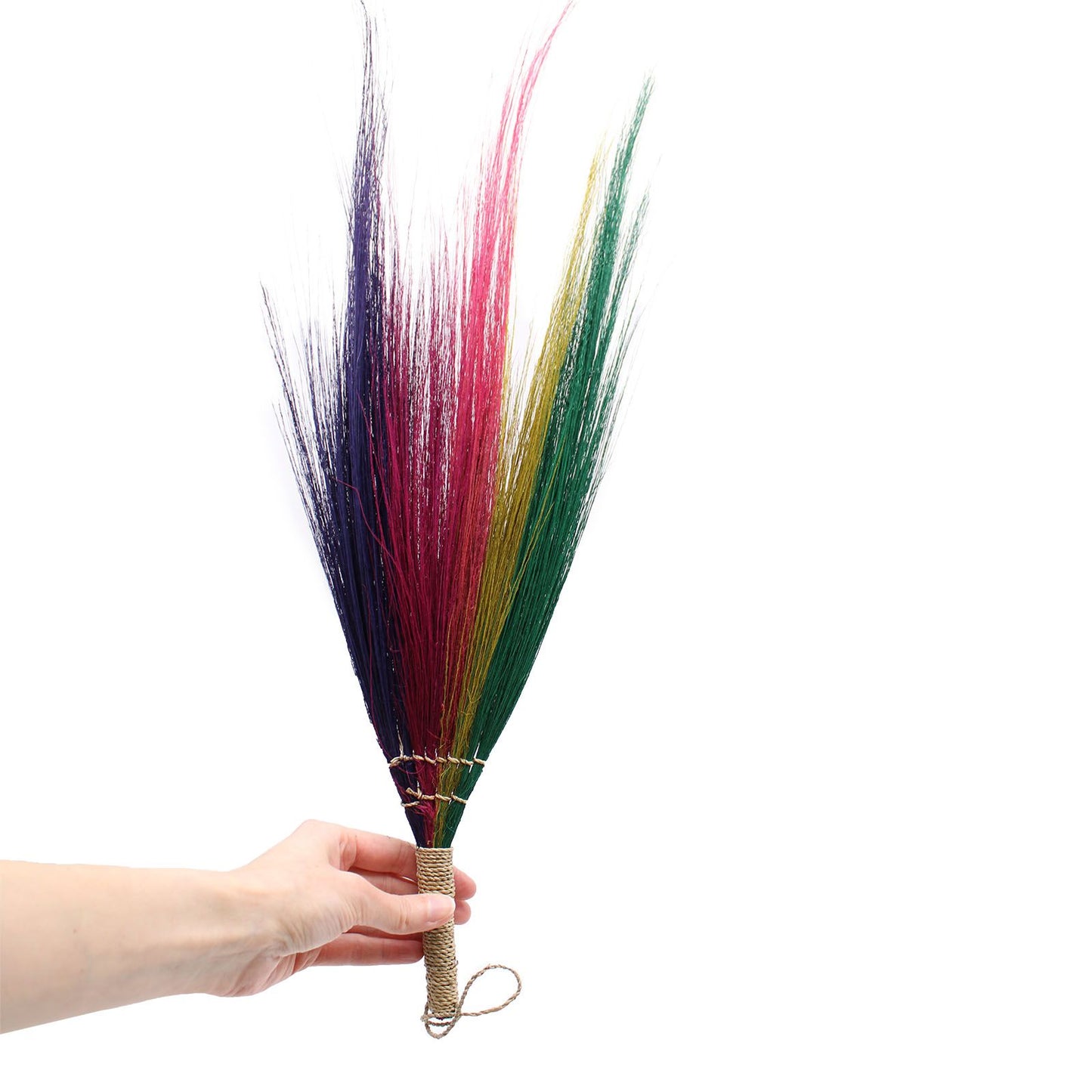 Set 4 - Pampas Broom - Rainbow Colours - Image set-4--pampas-broom--rainbow-colours-npb-06