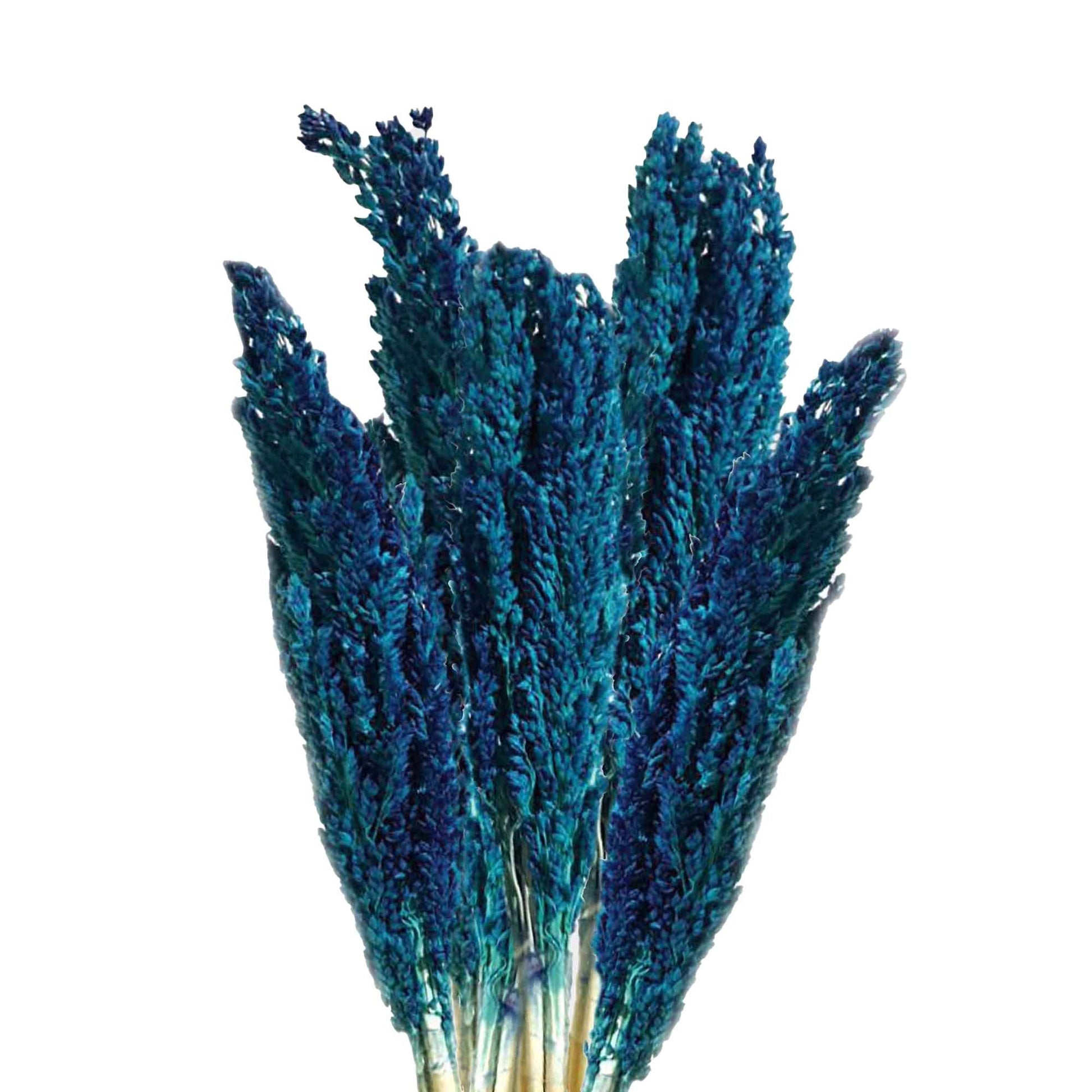 Cantal Grass Bunch - Blue - Image cantal-grass-bunch--blue-cgb-09