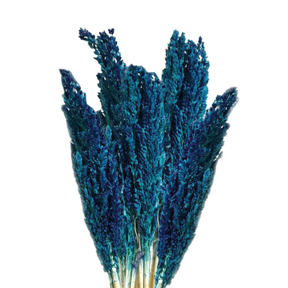 Cantal Grass Bunch - Blue - Image cantal-grass-bunch--blue-cgb-09