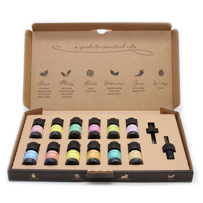Aromatherapy Essential Oil Set - The Top 12 - Image aromatherapy-essential-oil-set--the-top-12-eoset-02