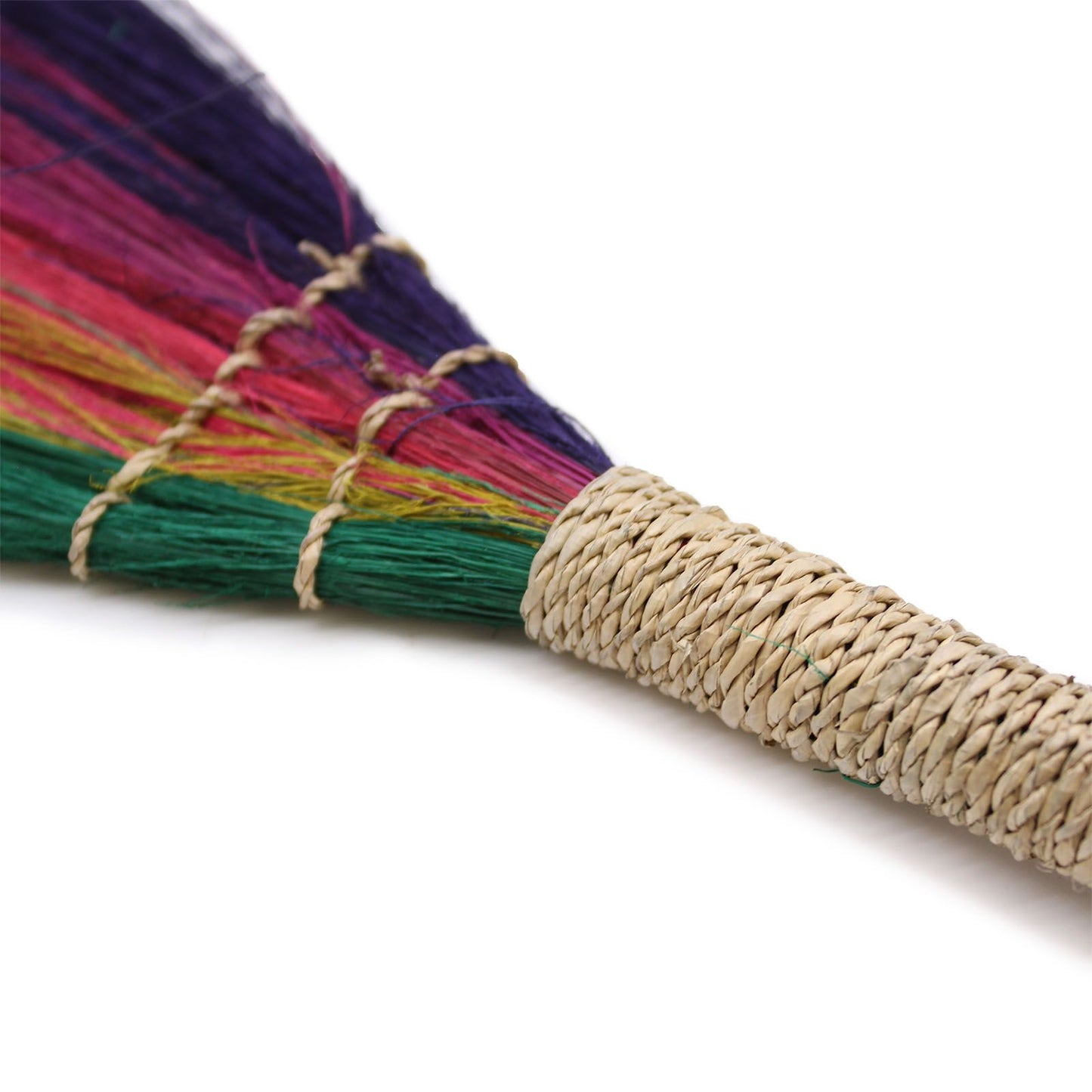 Set 4 - Pampas Broom - Rainbow Colours - Image set-4--pampas-broom--rainbow-colours-npb-06