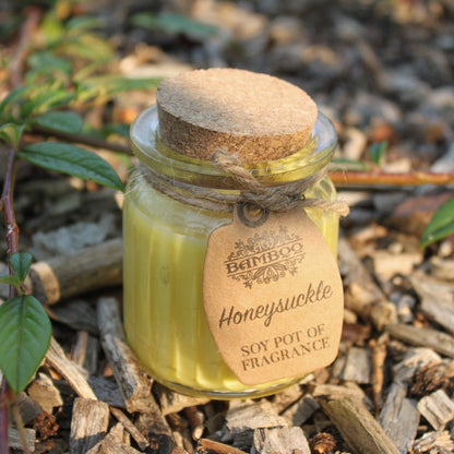 Honeysuckle Soy Pot of Fragrance Candles - Image honeysuckle-soy-pot-of-fragrance-candles-soyp-06