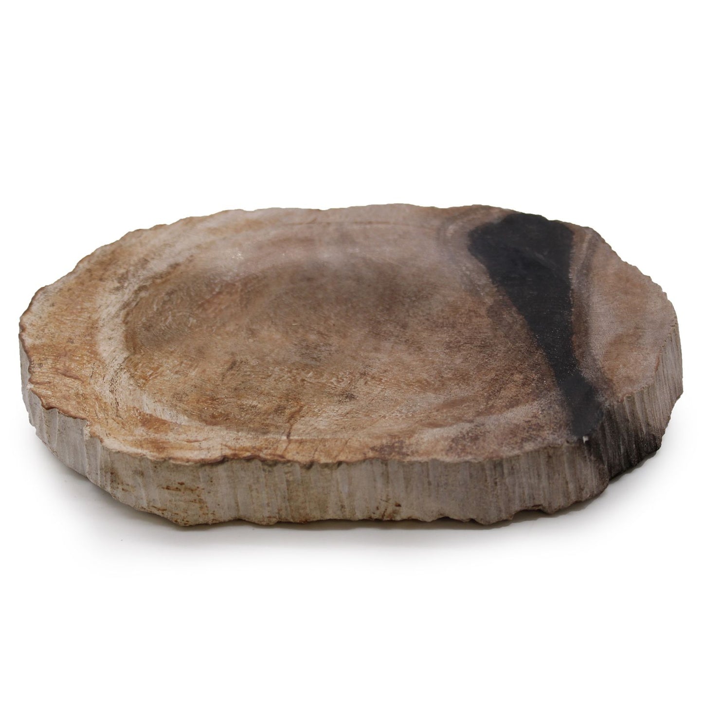 Petrified Wood Brown/Black Soap Dish - Image petrified-wood-brownblack-soap-dish-ssd-14