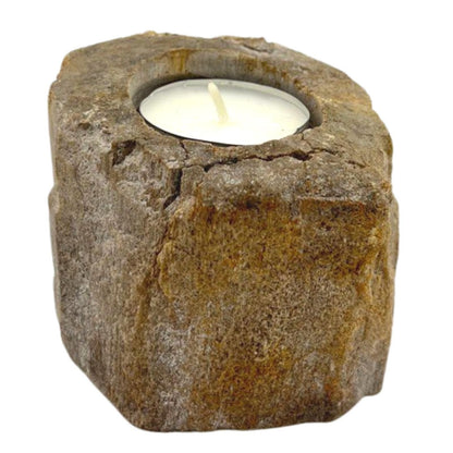 Petrified Wood Candle Holder - Single Low - Image petrified-wood-candle-holder--single-low-petw-01