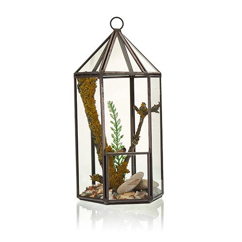 Glass Terrarium - Lantern Shape - Image glass-terrarium--lantern-shape-gter-03