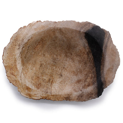 Petrified Wood Brown/Black Soap Dish - Image petrified-wood-brownblack-soap-dish-ssd-14