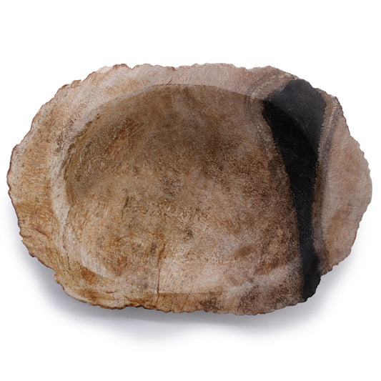 Petrified Wood Brown/Black Soap Dish - Image petrified-wood-brownblack-soap-dish-ssd-14