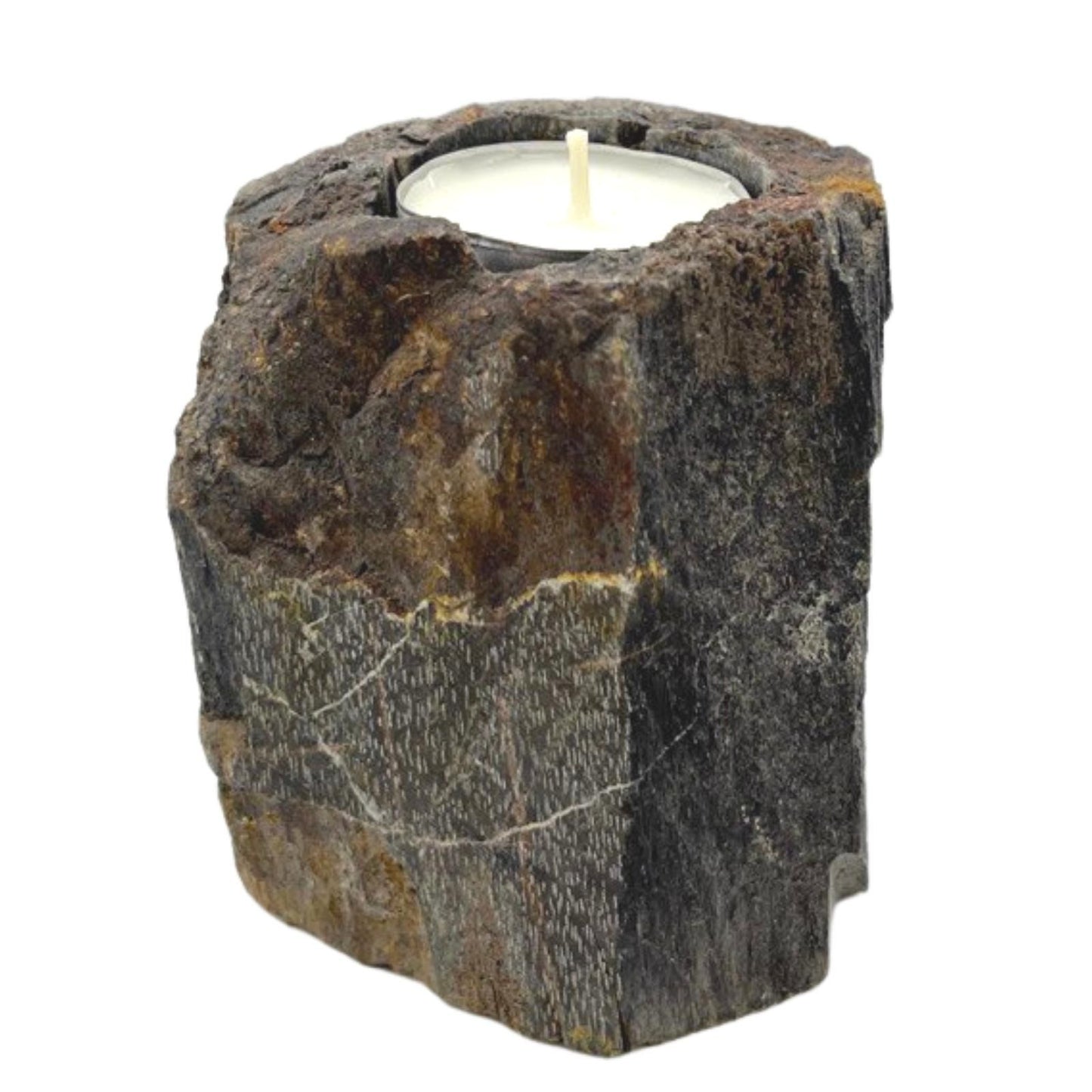 Petrified Wood Candle Holder - Single Low - Image petrified-wood-candle-holder--single-low-petw-01