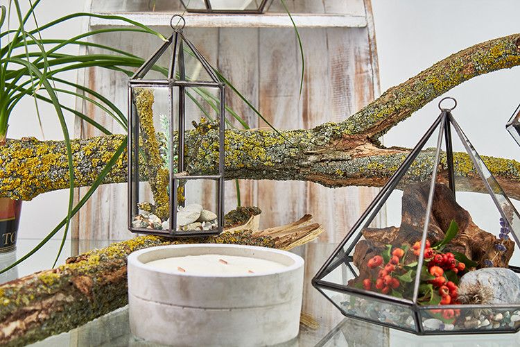 Glass Terrarium - Large Octagon - Image glass-terrarium--large-octagon-gter-05