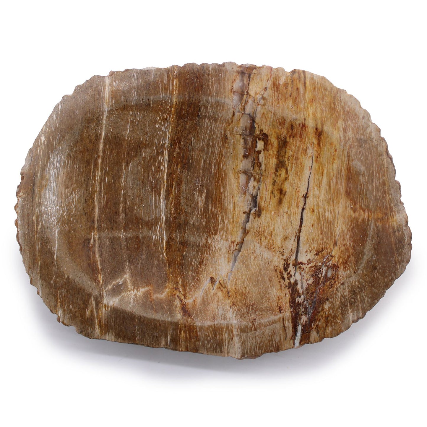 Petrified Wood Brown Soap Dish - Image petrified-wood-brown-soap-dish-ssd-15