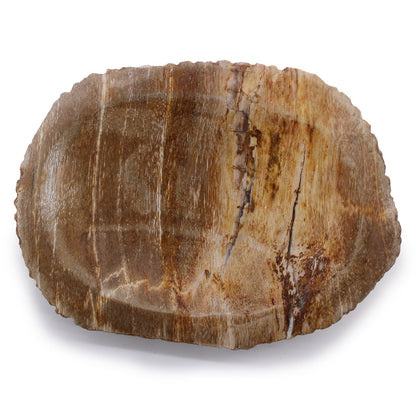 Petrified Wood Brown Soap Dish - Image petrified-wood-brown-soap-dish-ssd-15