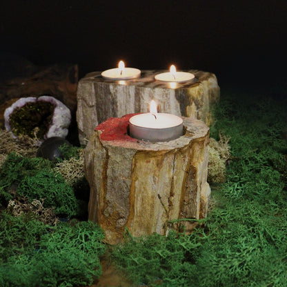 Petrified Wood Candle Holder - Single Tall - Image petrified-wood-candle-holder--single-tall-petw-02