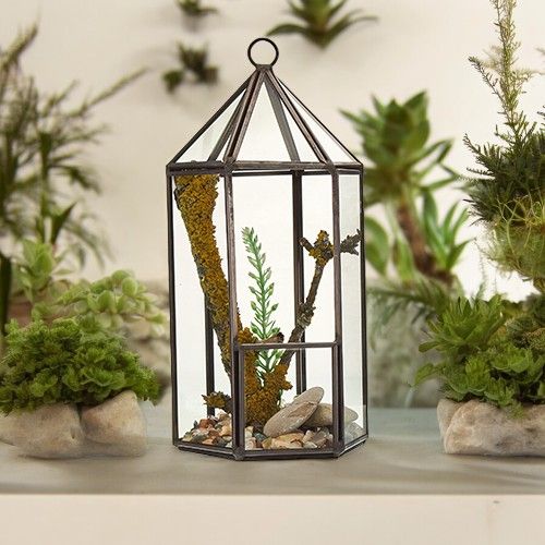 Glass Terrarium - Lantern Shape - Image glass-terrarium--lantern-shape-gter-03