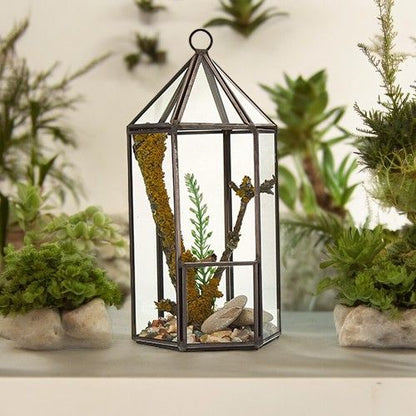 Glass Terrarium - Lantern Shape - Image glass-terrarium--lantern-shape-gter-03