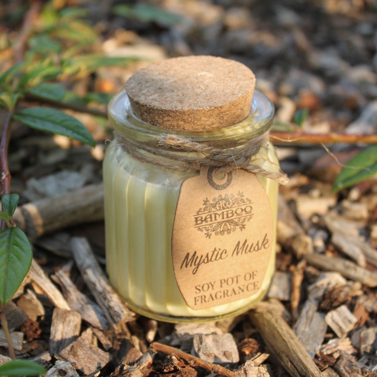 Mystic Musk Soy Pot of Fragrance Candles - Image mystic-musk-soy-pot-of-fragrance-candles-soyp-07