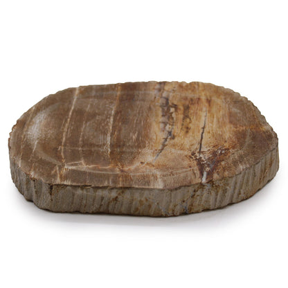 Petrified Wood Brown Soap Dish - Image petrified-wood-brown-soap-dish-ssd-15