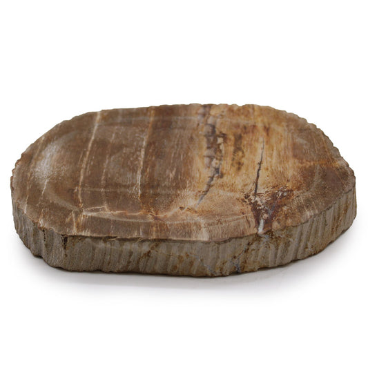 Petrified Wood Brown Soap Dish - Image petrified-wood-brown-soap-dish-ssd-15