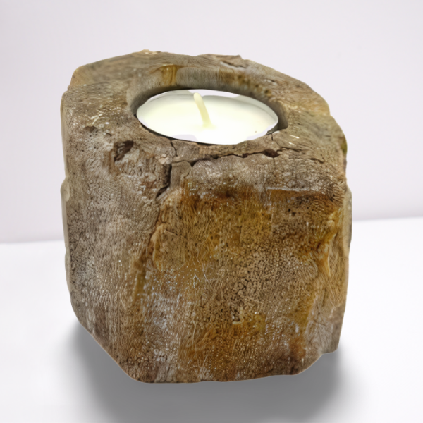 Petrified Wood Candle Holder - Single Low - Image petrified-wood-candle-holder--single-low-petw-01