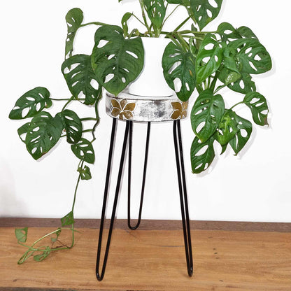 Albasia Wood Plant Stand - Whitewash - Image albasia-wood-plant-stand--whitewash-hps-01