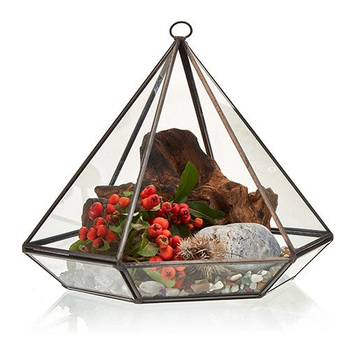 Glass Terrarium - Large Diamond - Image glass-terrarium--large-diamond-gter-04
