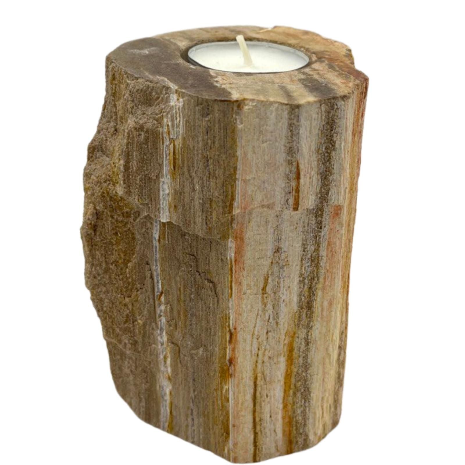 Petrified Wood Candle Holder - Single Tall - Image petrified-wood-candle-holder--single-tall-petw-02