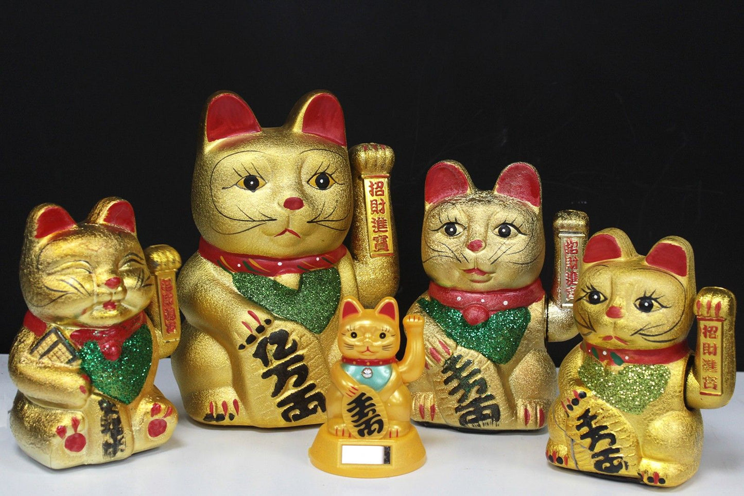 Large Money Cat - Image large-money-cat-mcat-03