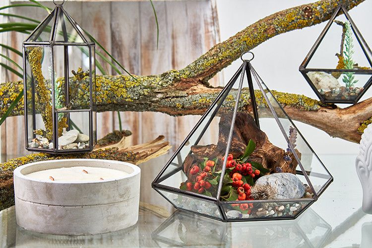 Glass Terrarium - Large Diamond - Image glass-terrarium--large-diamond-gter-04