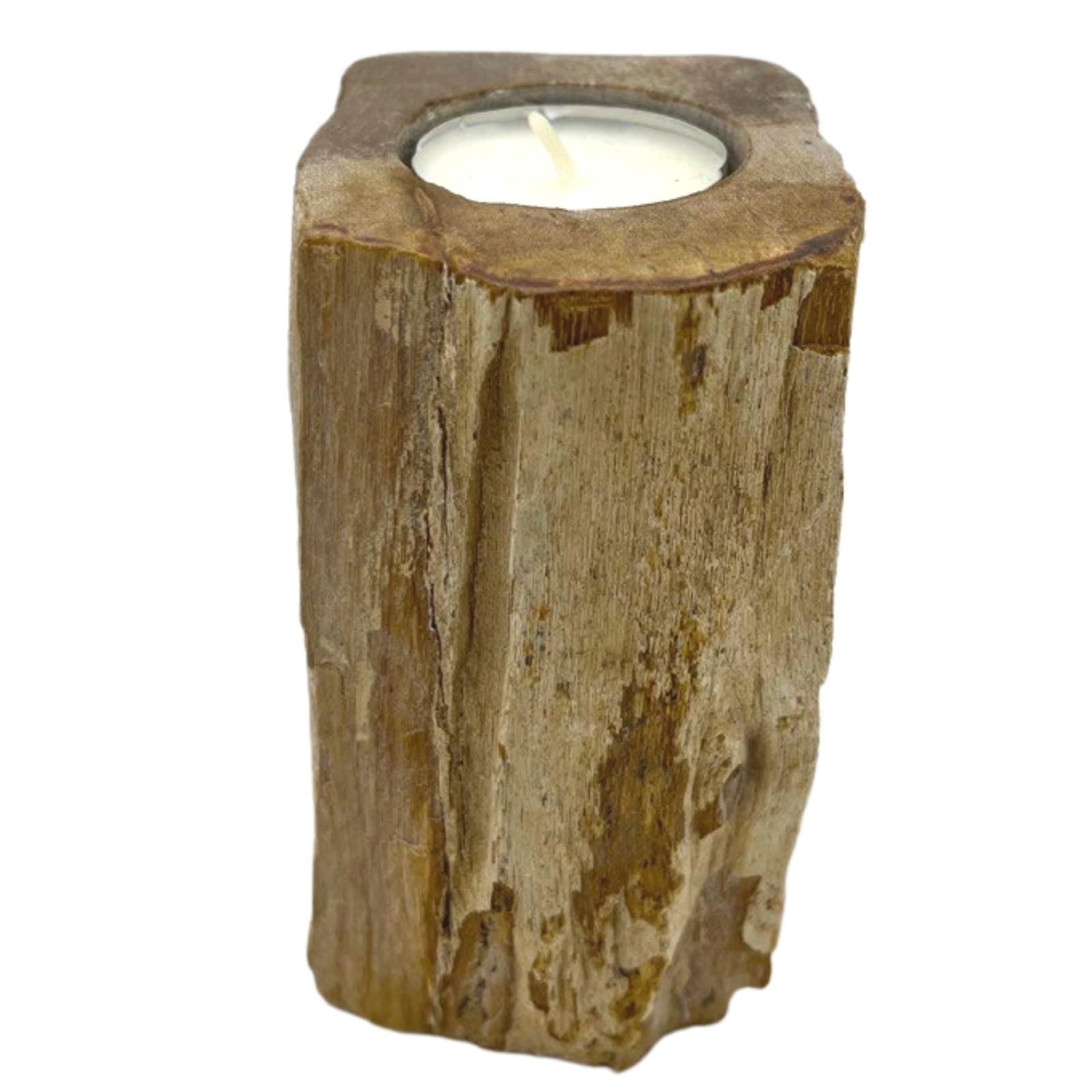Petrified Wood Candle Holder - Single Tall - Image petrified-wood-candle-holder--single-tall-petw-02