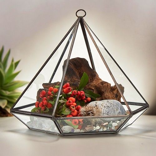 Glass Terrarium - Large Diamond - Image glass-terrarium--large-diamond-gter-04