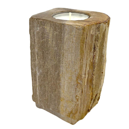Petrified Wood Candle Holder - Single Tall - Image petrified-wood-candle-holder--single-tall-petw-02