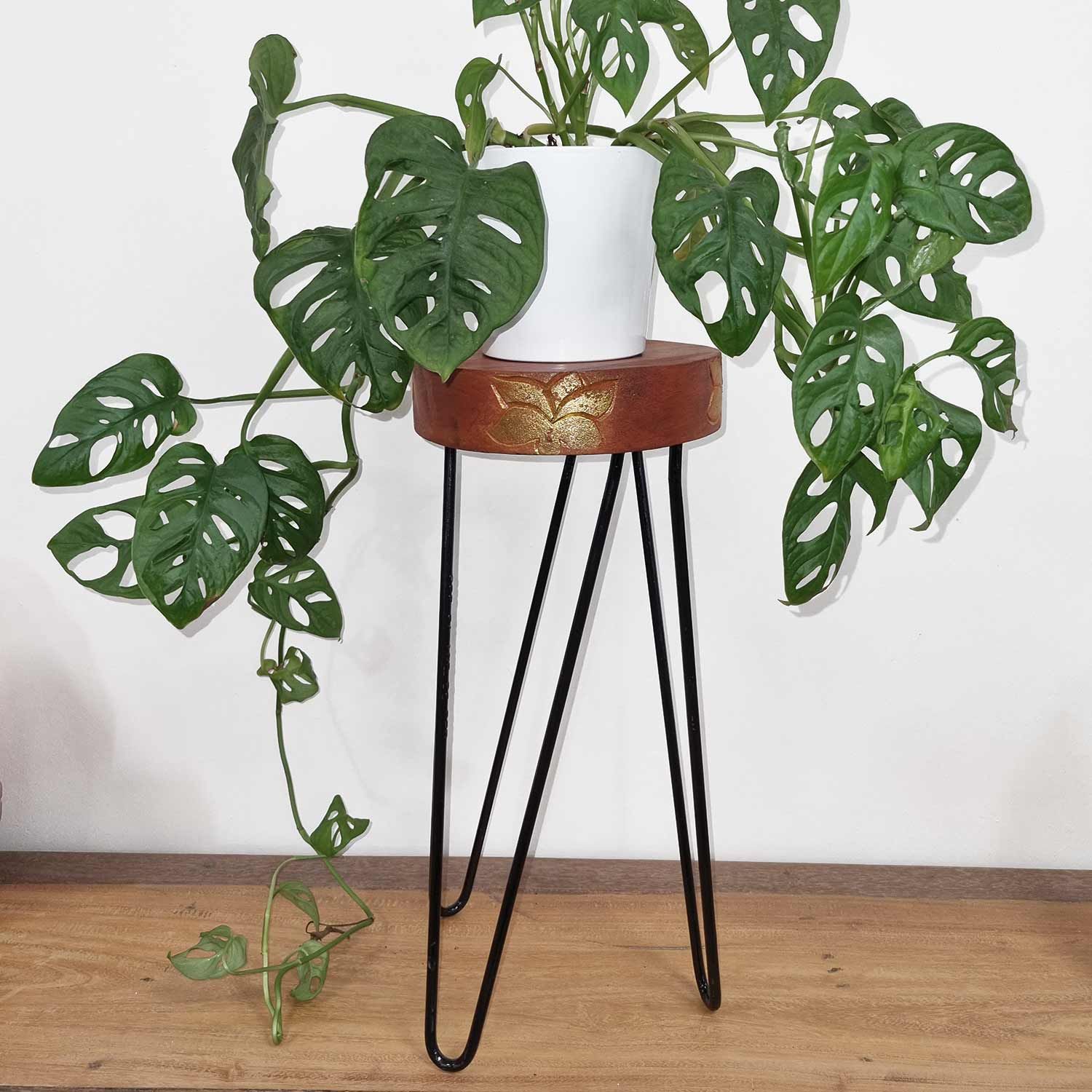 Albasia Wood Plant Stand - Whitewash - Image albasia-wood-plant-stand--whitewash-hps-01