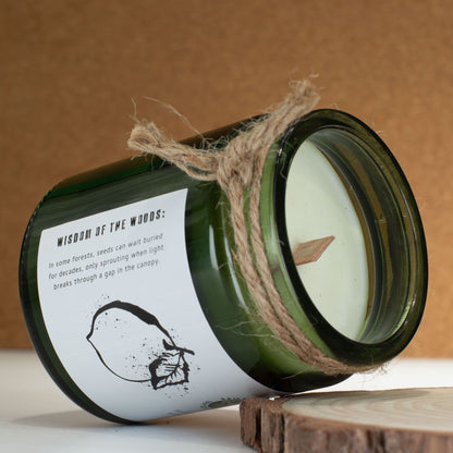 Greenman Woodwick Soy Candle - Cedar Citrus - Image greenman-woodwick-soy-candle--cedar-citrus-wsoyc-10