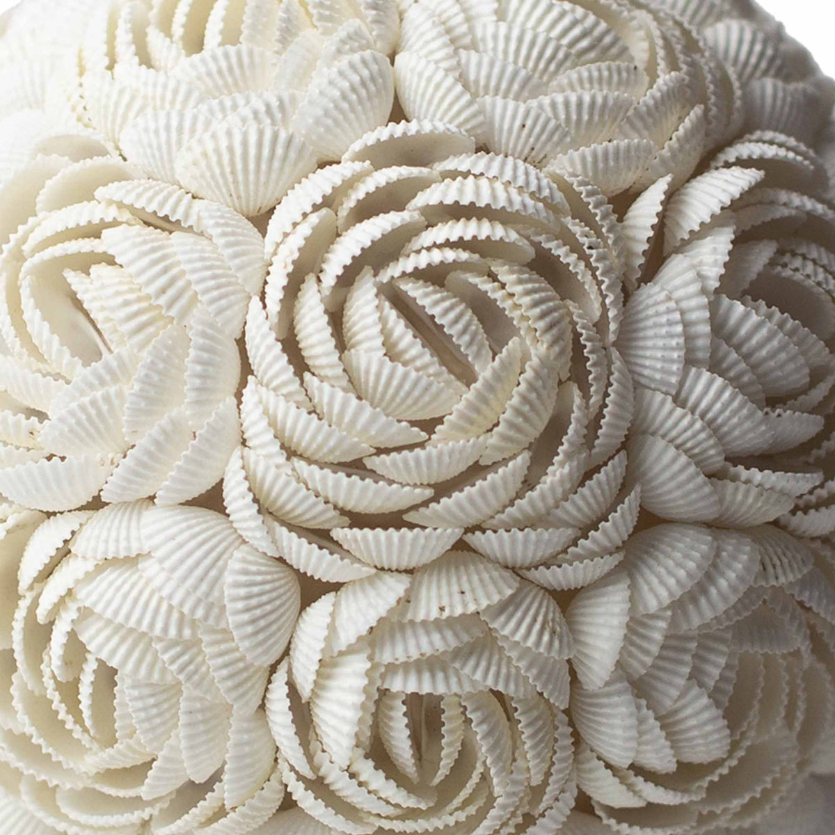 Boho Seashell Lamp - Rose Oval - 20cm