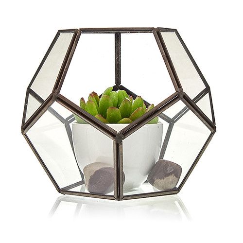 Glass Terrarium - Large Octagon - Image glass-terrarium--large-octagon-gter-05