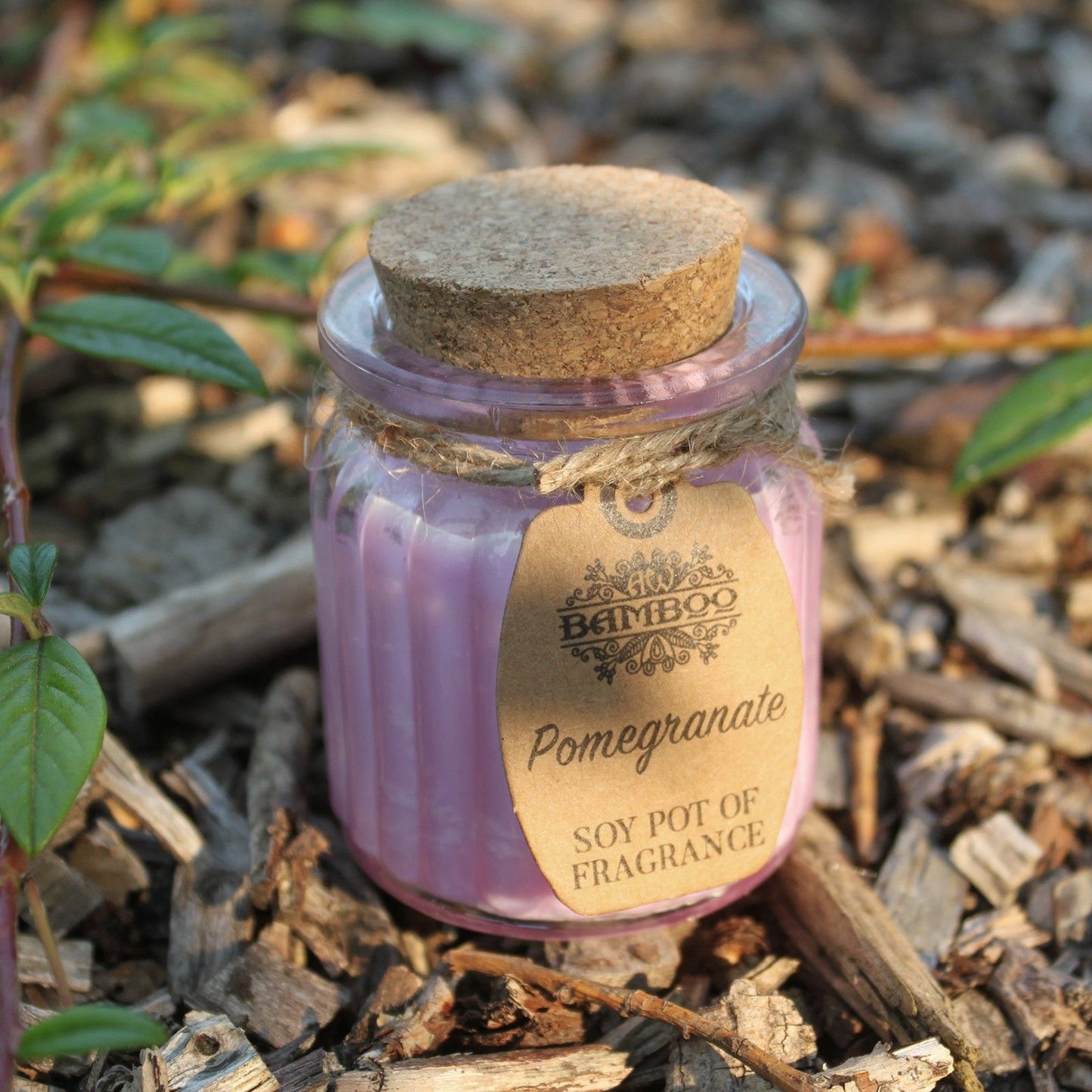 Pomegranate Soy Pot of Fragrance Candles - Image pomegranate-soy-pot-of-fragrance-candles-soyp-09