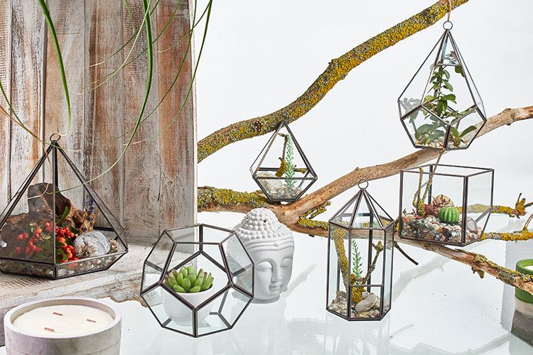 Glass Terrarium - Cube on Corner - Image glass-terrarium--cube-on-corner-gter-06