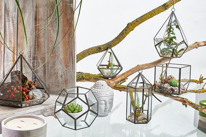 Glass Terrarium - Cube on Corner - Image glass-terrarium--cube-on-corner-gter-06