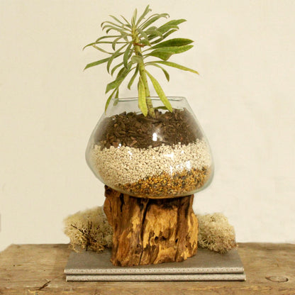 Molten Glass on Wood - Large Bowl - Image molten-glass-on-wood--large-bowl-mgw-03