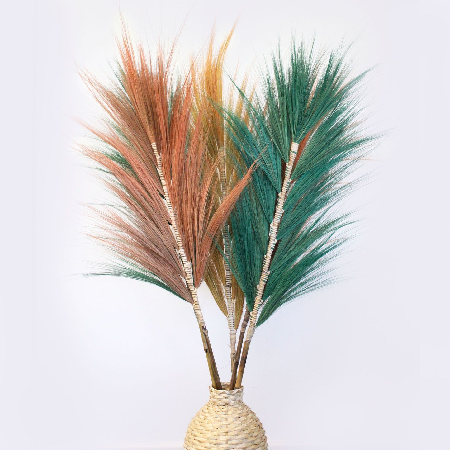 Rayung Grass Coral - 1.6m - Image rayung-grass-coral--16m-pamg-04