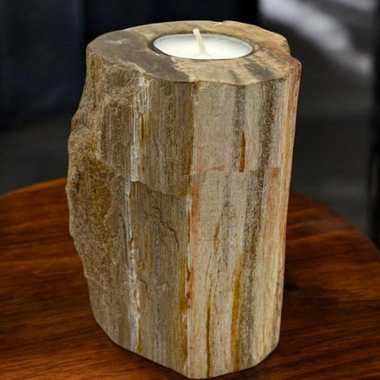 Petrified Wood Candle Holder - Single Tall - Image petrified-wood-candle-holder--single-tall-petw-02